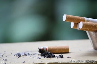 烟头回收生意(烟头回收怎么盈利？)